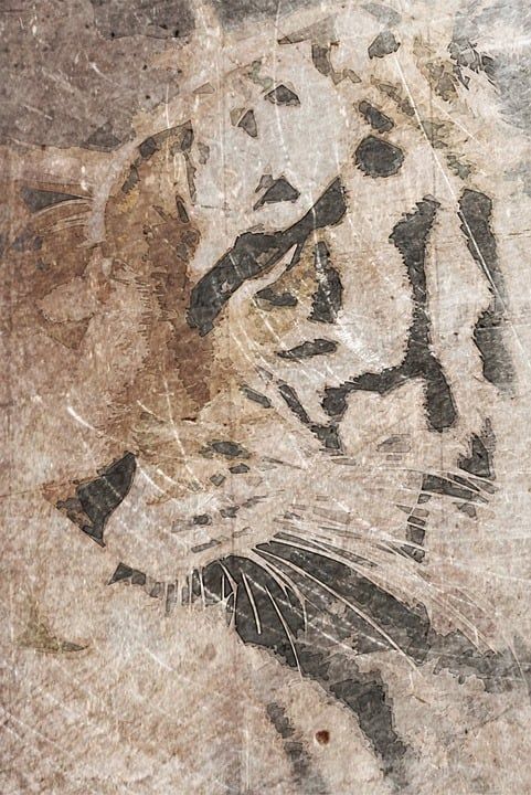 背景 墙纸 数字 数字艺术 老虎 兽 大猫 带区卷 胡子