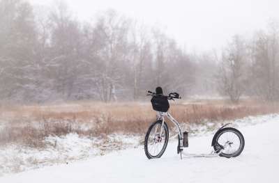 小型摩托车 雪 冰 冬天 森林 下雪的 运动的 体育 树木