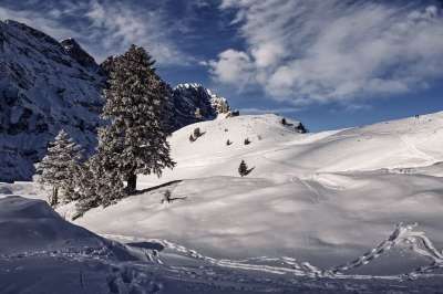 雪 山 冬天 霜 阿尔卑斯山 高山 雪山 山脉 多山 山地景观