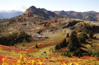 秋天的颜色 秋天 山 北瀑布 华盛顿州 沃特康县
