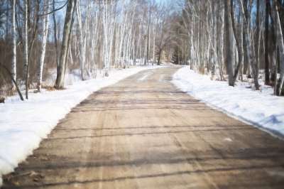 冬天路 白桦树 森林 自然 棕色的道路