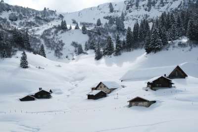 法语 瑞士 雪 树木 冬季景观 寒冷的 冬天 太阳