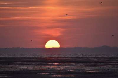 海 日落 户外 黄昏 海洋 海滩 太阳 海景 阳光 地平线