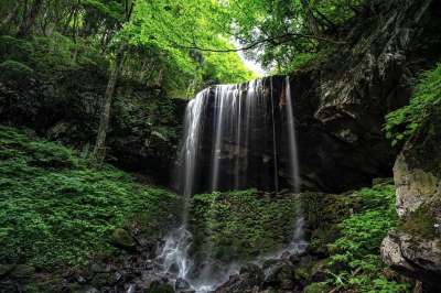 景观 瀑布 旅游目的地 岩 绿色 冈山 日本