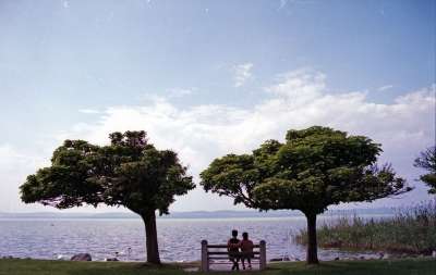 恋人 长椅 湖 树木 爱 人们 男人 夫妻 浪漫的 女士