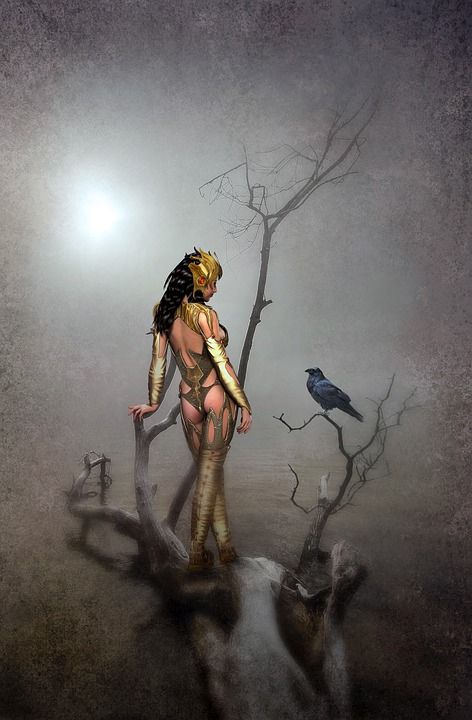 幻想 景观 亚马逊 乌鸦 多雾路段 光 树 神秘 童话 浪漫的
