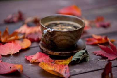 茶 秋天 树叶 喝 杯子 情绪 颜色