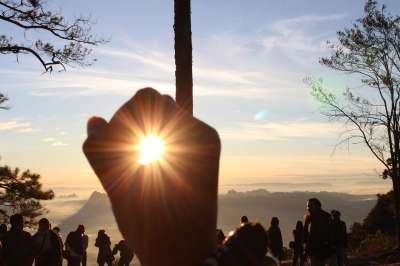 富克拉登 自然 太阳 泰国 悬崖 冒险 树 旅游景点 山 游客