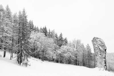 波兰 冬天 雪 景观 森林 树木 霜 岩石 自然 户外 国家