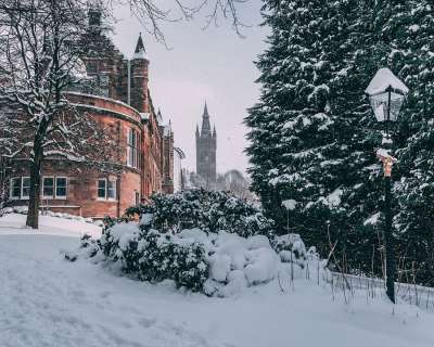 格拉斯哥大学 格拉斯哥 大学 冬天 雪 寒冷的 树 冻结 圣诞节
