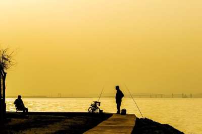 轮廓 日落 日落的海景 和平 橙色日落 橙海 橙色海洋 橙色和平