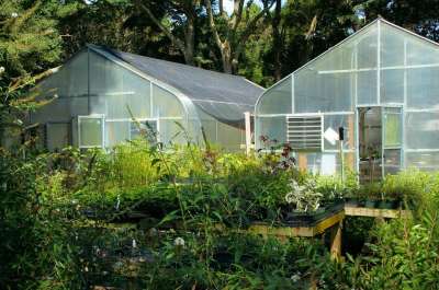 温室 玻璃 玻璃 建筑物 植物 保护的 覆盖 保护 天气