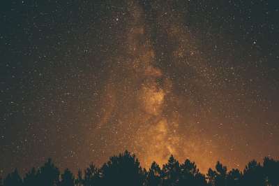 天空 星星 星系 空间 天文学 夜晚 黑暗的 阴影 轮廓 树木