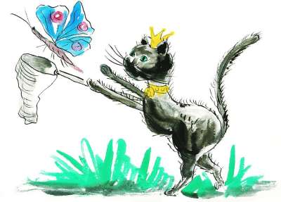 猫 宿醉 动物 家猫 蝴蝶 抓 野生动物 朋友们 草地 生物