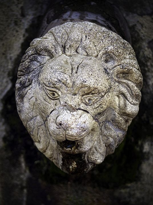 雕像 雕塑 来源 水 利昂 概念 历史 石头 森林