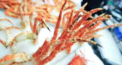 螃蟹 腿 冰 市场 新鲜的 食物 海鲜 贝类 美食家 美味的