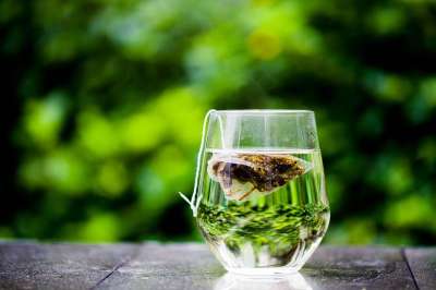 茶 杯子 绿色 茶包 袋泡茶 户外 优雅 袋泡茶 袋泡茶 袋泡茶