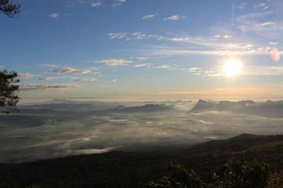 富克拉登 自然 太阳 泰国 悬崖 冒险 树 旅游景点 山 游客