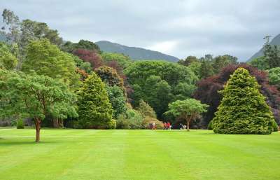 公园 Parklandschaft 英式花园 园林 爱尔兰 基拉尼