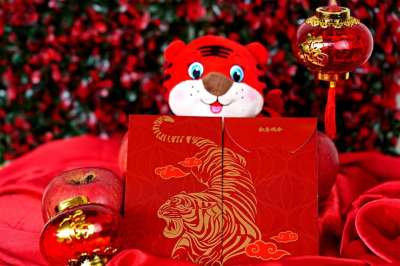 中国新的一年 老虎娃娃 传统 老虎过年 水果 花朵 传统的