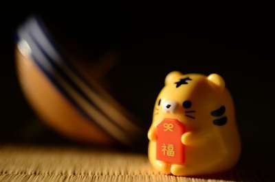 财富 老虎 新的一年 生肖 阳光 黄 可爱的 动物 信仰 日本