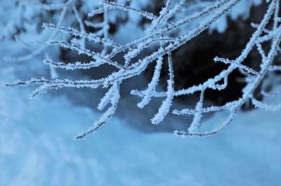 枝 雪 冬季 弗罗斯特 植物 白 冷 Eiskristtale