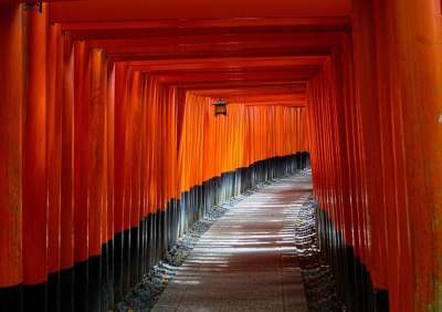 京都 日本 鸟居门 小路 精神 亚洲 沉思