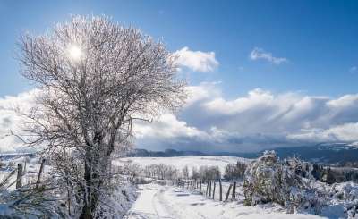 雪 冬天 弗罗斯特 寒冷的 冷冻的