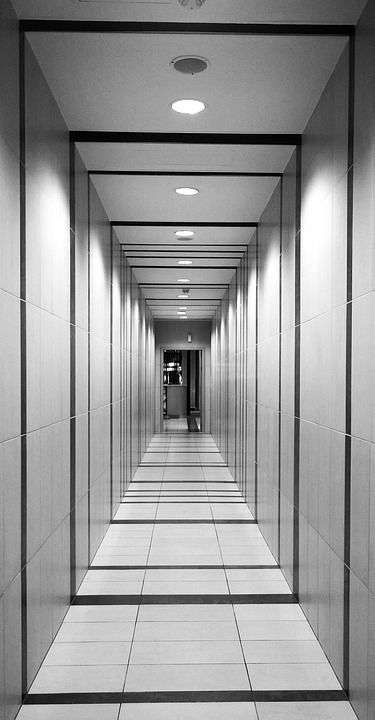 门厅 看法 隧道 结构 走廊 内部的 地面 建造 空的 现代的