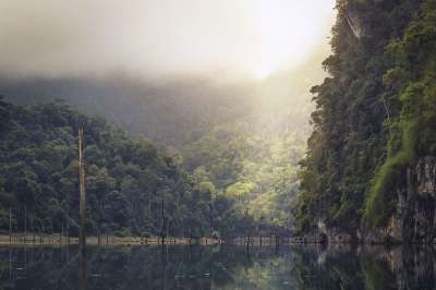 湖 雨林 热带 反射 树木 自然 水 景观 河 池塘 平静的
