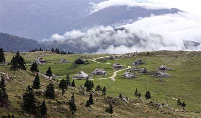 牧羊人村 丘陵 阿尔卑斯山 村庄 森林 山 景观 看法 多雾路段