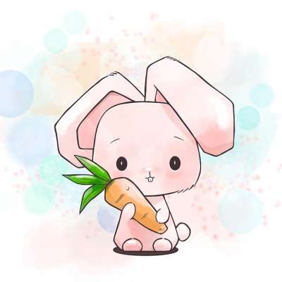 兔子 动物 可爱的 自然 宠物 哺乳 卡通片 耳朵 野生动物