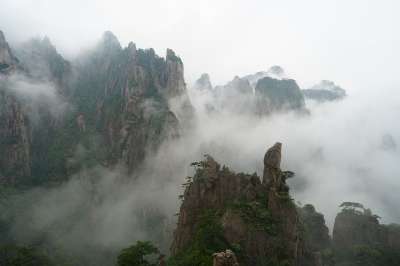 黄山 山 山脉 多雾路段 树木 中国 黄山 黄山 黄山 黄山