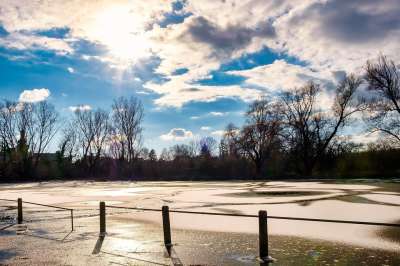 树木 栏杆 冰 雪 体育场 冬天 冰盖 寒冷的 景观 阳光明媚