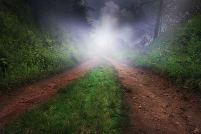 森林小径 森林 神秘 自然 小路 落下 情绪 景观 光