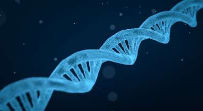脱氧核糖核酸 细绳 生物学 3D 生物技术 化学 药品 研究
