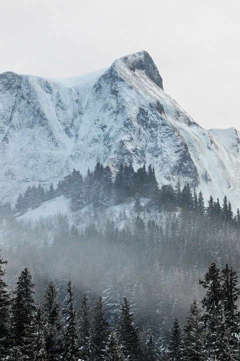 山 寒冷的 雪 冬天 雪覆盖 冰晶 冬季景观 白色的 冻结