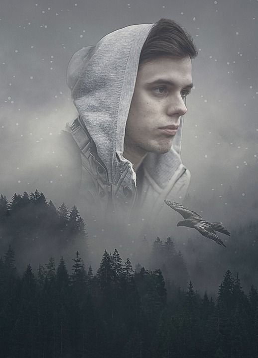 男人 冬天 森林 幻想 树木 鹰 雪 多雾路段 卫衣 年轻