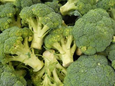 西兰花 绿色 食物 健康 吃 素食主义者 蔬菜 新鲜的 有机的