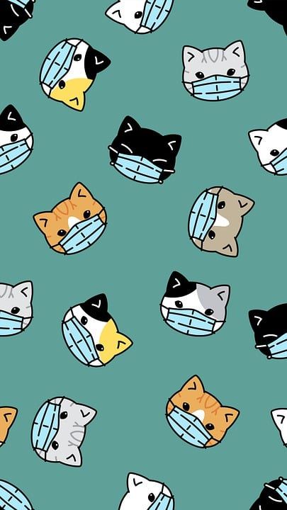 猫 小猫 口罩 冠状病毒 脸布 可爱的 墙纸 手机的背景
