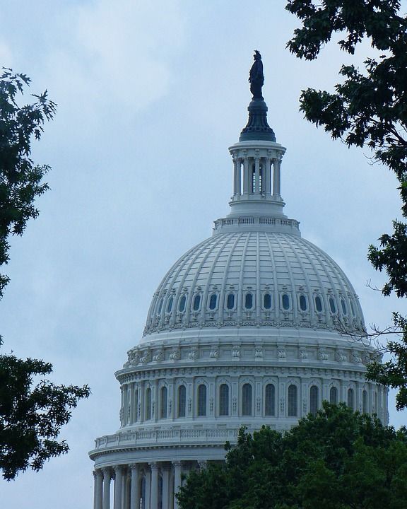 美国国会大厦 华盛顿特区 政府 民主 地标 国会山 建造 结构