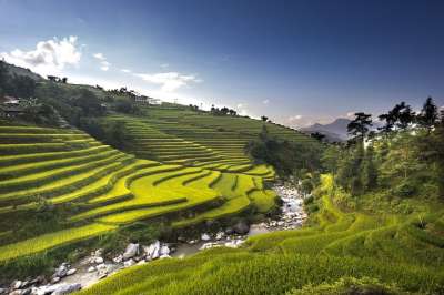 越南 米 场地 河江 梯田 Hoang苏披 旅行 看法 自然