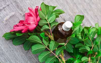 精油 选择 香气 芳香 身体 瓶子 关心 花 香味 健康
