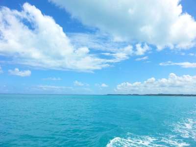 海 三月 海滩 景观 旅行 巴西 太阳 有天赋的人 目的地