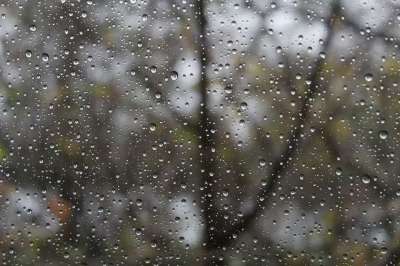 下雨天 雨滴 滴 湿的 伤心 冷静的 户外 自然 11 月