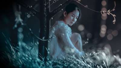 女士 梦 损失 悲哀 记忆 黑暗 悲伤 草 光 森林 眼泪