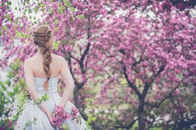 树木 植物 花 自然 户外的 人们 女孩 背部 婚礼 袍