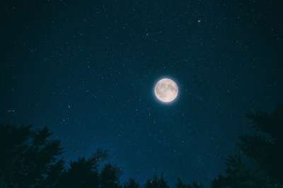 夜晚 天空 月亮 黑暗的 自然 星星 森林 国家 树木 孤独