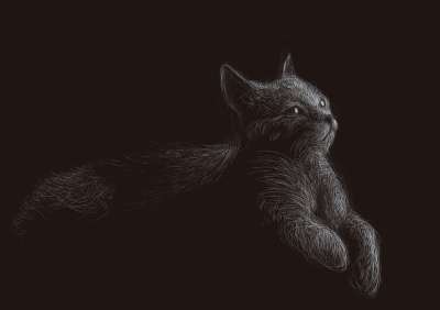 猫 黑猫 动物 背景 绘画 猫科动物 宠物