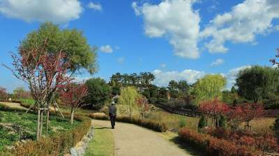 天空 蓝色 蓝色的 明确 云 海 太阳能 正午 季节 春天